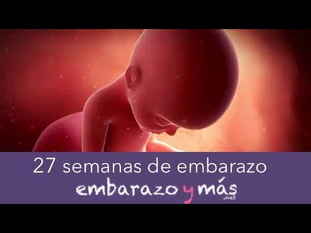 27 semanas cuántos meses son