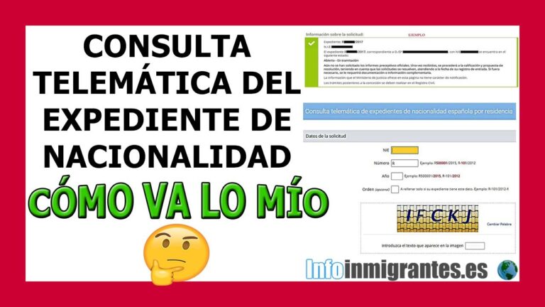 como va lo mío nie