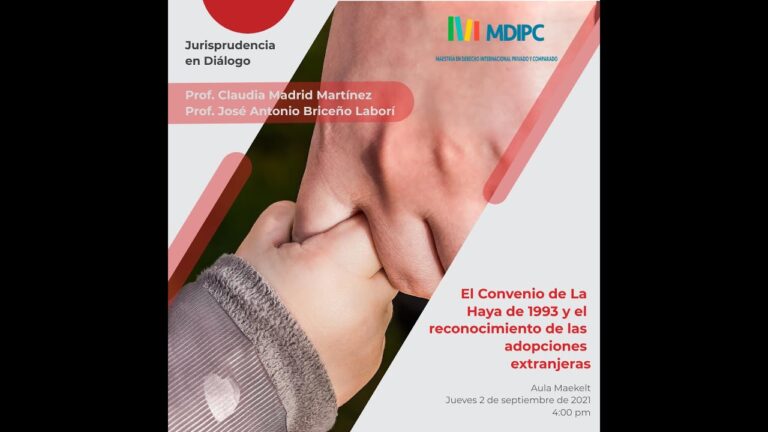 convenio de la haya 1993