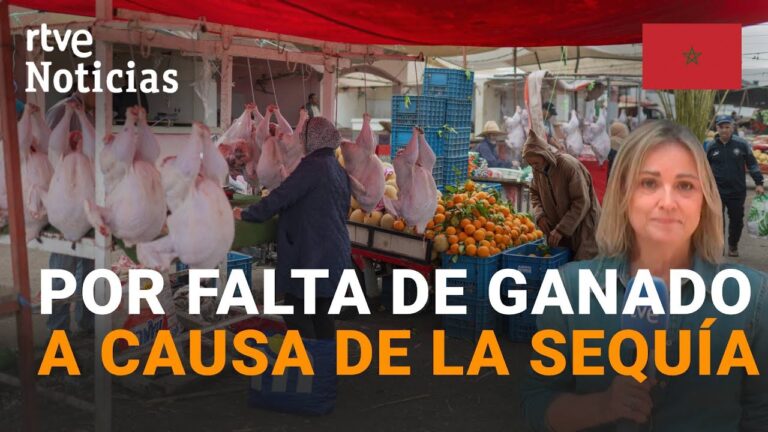 cuando es la fiesta del cordero en españa