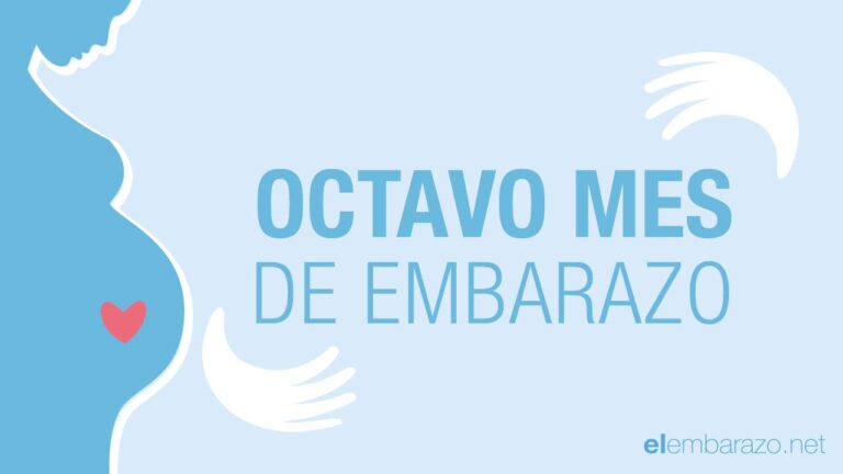cuantos dias son 8 meses