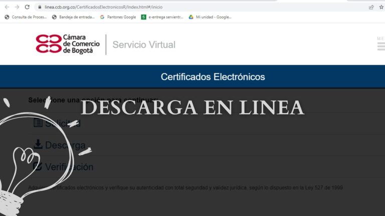 documento acreditativo de la representación