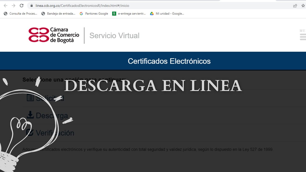 documento acreditativo de la representación