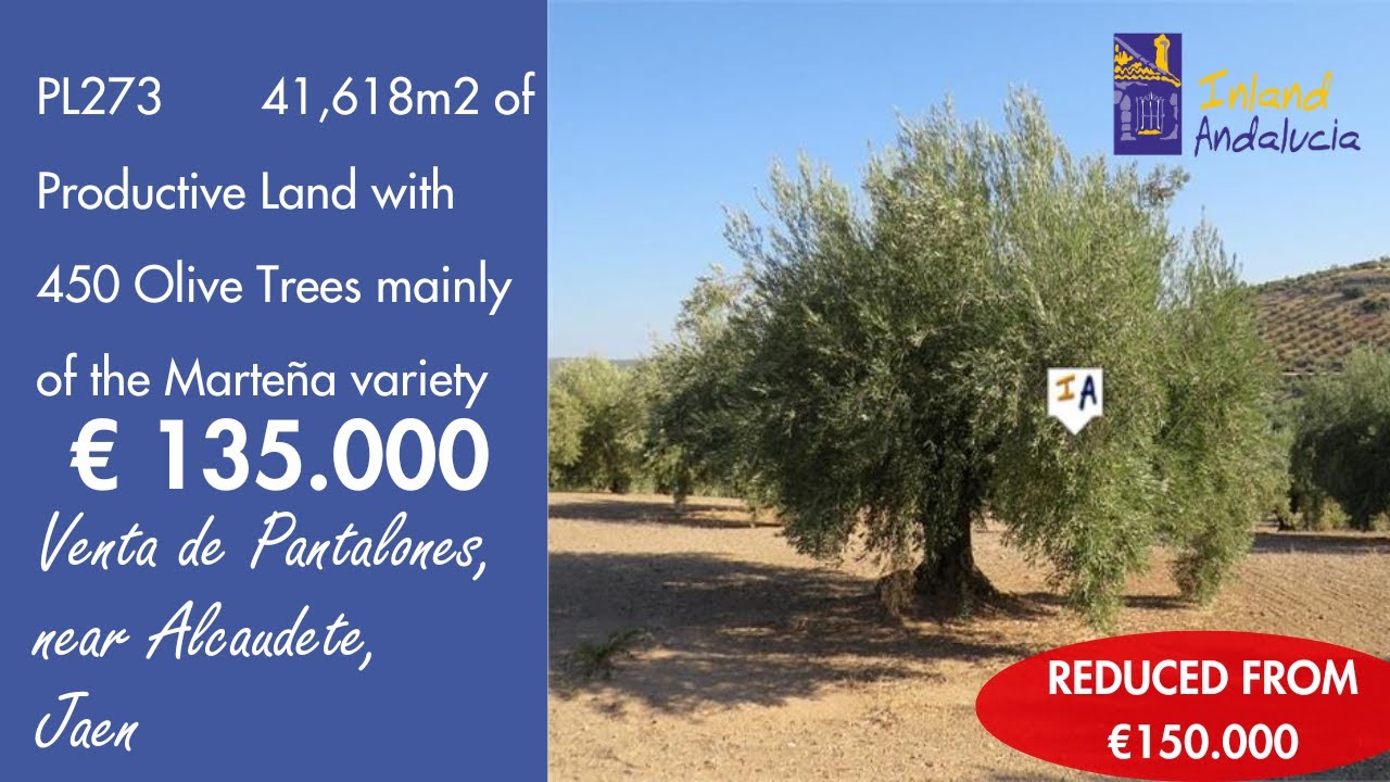 ebanisteria 4 6 alicante 03071