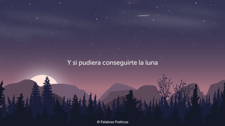 eres la razón por la que sigo aquí
