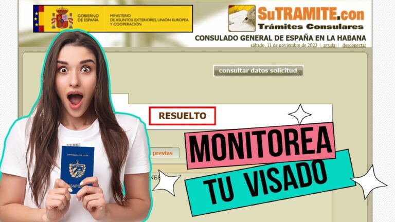 estado de solicitud resuelto visa españa