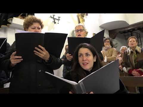 ilustre colegio de abogados de almería