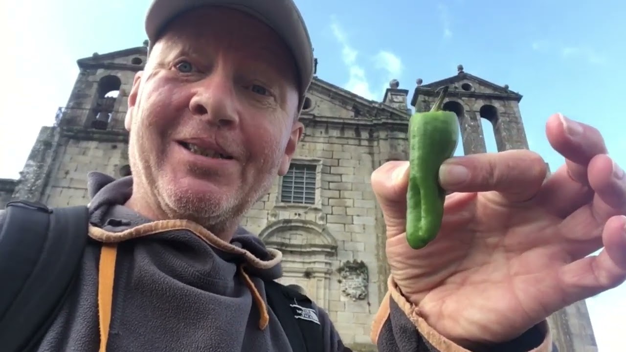 padron municipal santiago de compostela