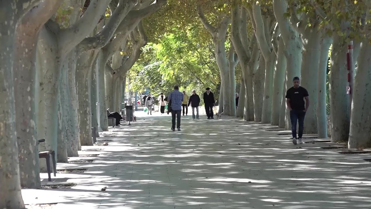 passeig de ribera 21 tortosa 43500