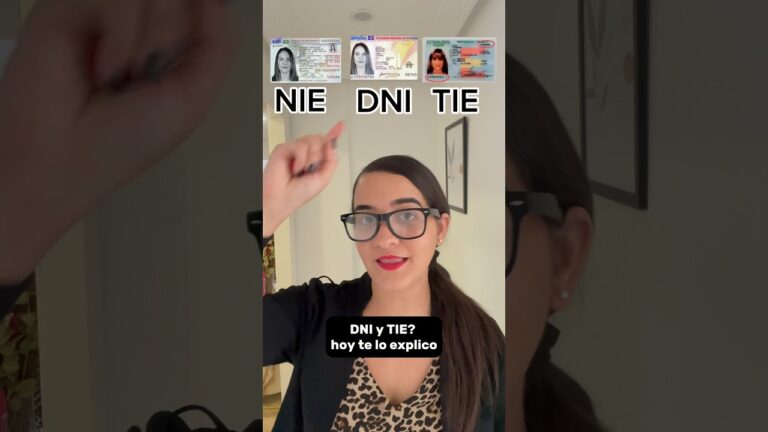 que significa nie o nif