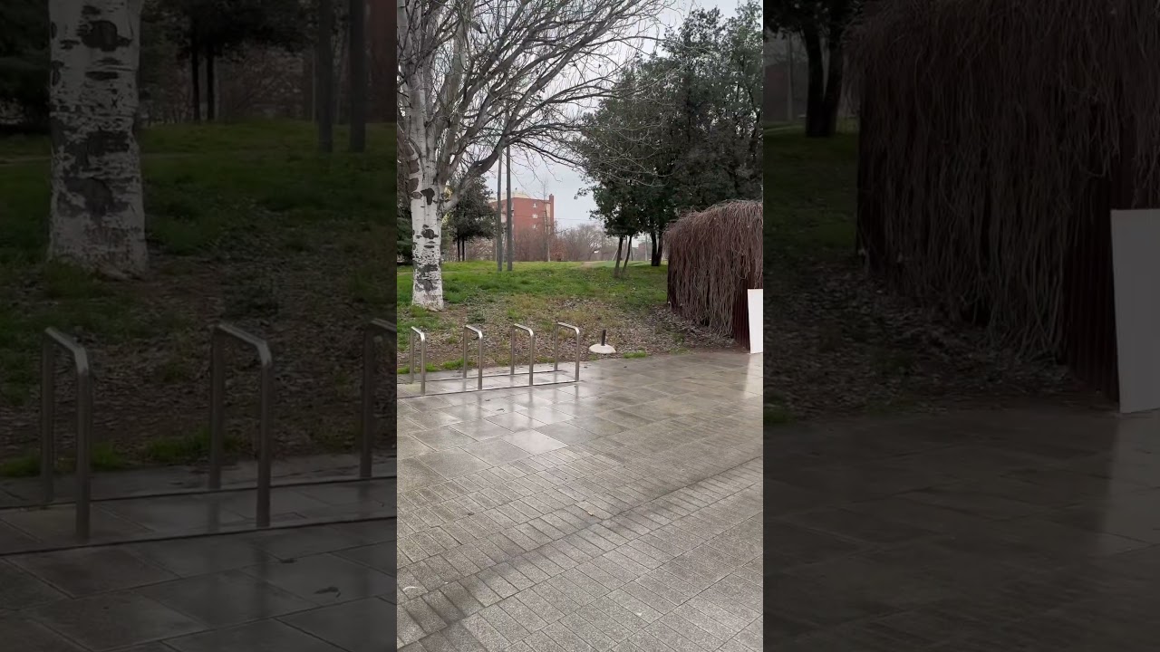 registro civil de mollet del vallès