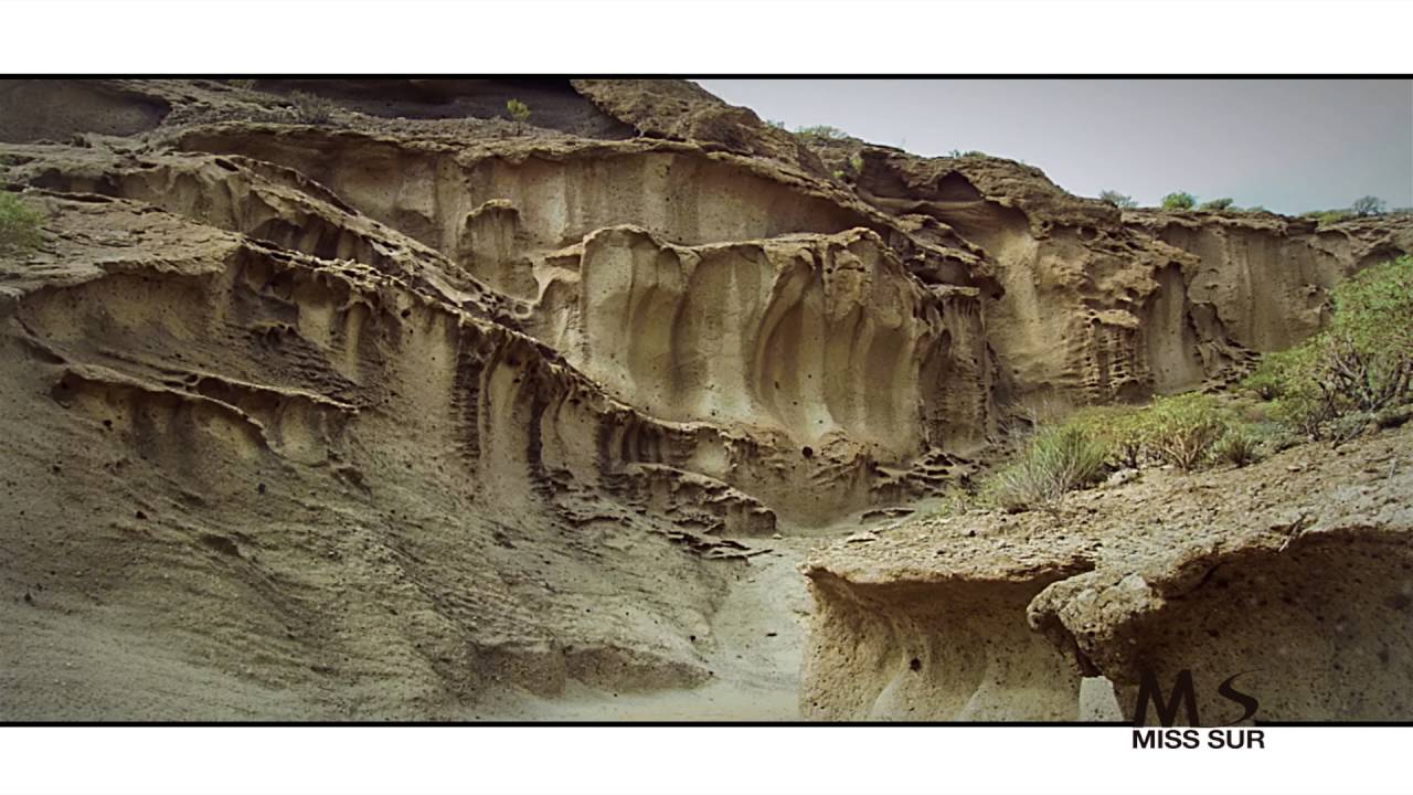 registro civil san miguel de abona