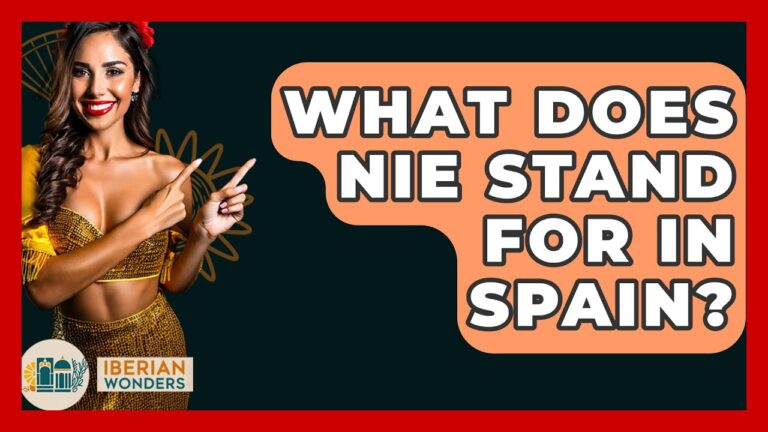 what does nie stand for in spain